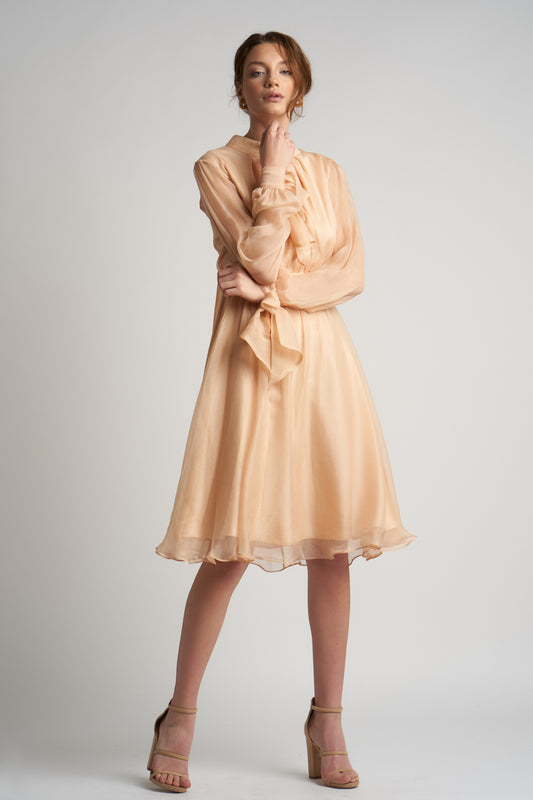 BCatargiuDSC07211_800x800 Rochie midi din voal de matase cu esarfe - imagine 3